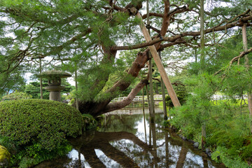 石川県金沢市にある兼六園周辺の風景 Scenery around Kenrokuen Garden in Kanazawa City, Ishikawa Prefecture, Japan.