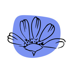 Daisy with abstract shapes hand drawn illustration. Line art. Isolated on white background.
