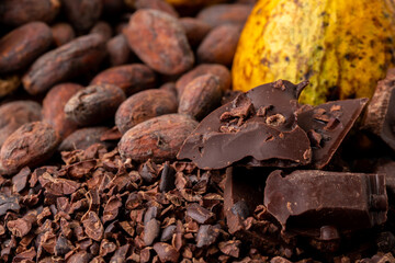 Dark chocolate pieces crushed and cocoa beans, top view