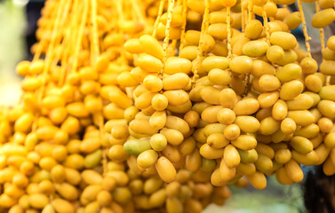 Dates palm branches with ripe dates