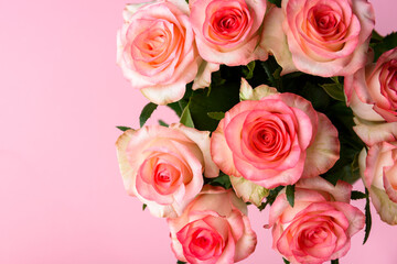 Bouquet of pink roses on pink background.