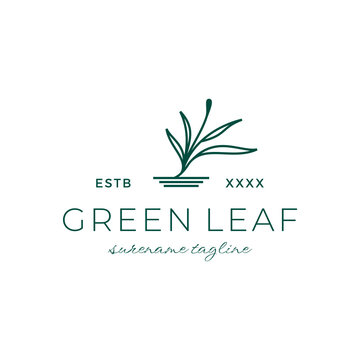 Flower with Green leaf logo botanical spa logo inspiration vector icon illustration custom logo design vector 