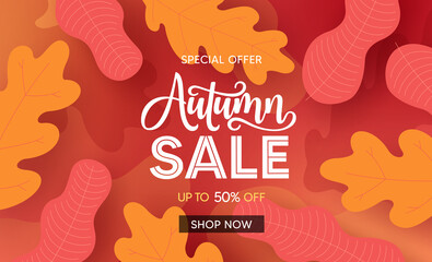 Fall season sale vector banner background. Autumn seasonal sale text with colorful maple and oak leaves for marketing promotion design. Vector illustration.