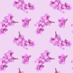 .Orchid seamless floral pattern. Pastel colors