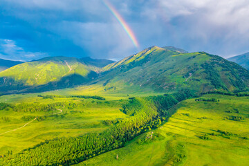 Mountain and forest with grassland natural scenery in Hemu Village,Xinjiang,China.