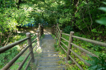 石川県の動物園周辺の風景 Scenery around the zoo in Ishikawa Prefecture