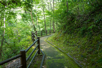 石川県の動物園周辺の風景 Scenery around the zoo in Ishikawa Prefecture