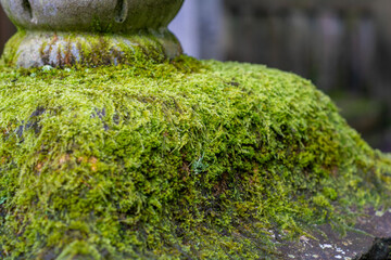 石川県白山市の白山神社周辺の風景 Scenery around Hakusan Shrine in Hakusan City, Ishikawa Prefecture 