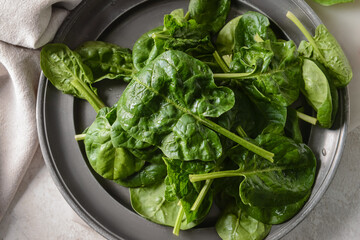 Plate with fresh spinach leaves on light background, closeup