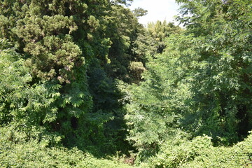 日本　群馬の名所　真田の城　名胡桃城と周辺の風景