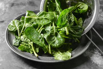 Colander and plate with fresh spinach leaves on grey background, closeup