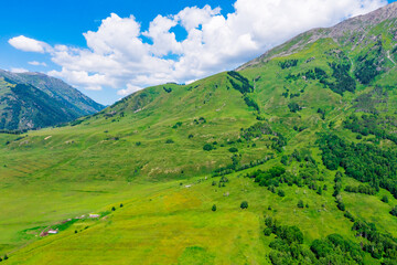 Mountain and forest with grassland natural scenery in Hemu Village,Xinjiang,China.