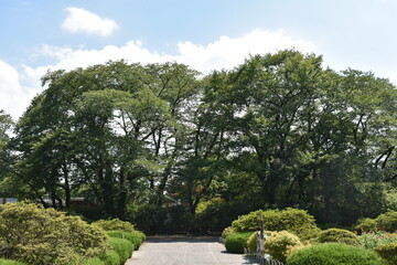日本　群馬の名所　真田の城　沼田城と周辺の風景