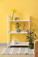 Jug with beautiful daffodils and decor on shelf unit near color wall
