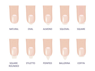Manicure most popular fashion nail shapes flat style vector illustration set isolated light blue background. Natural, squoval, oval, square rounded, square, almond, stiletto different shapes guidance. © Konstantin