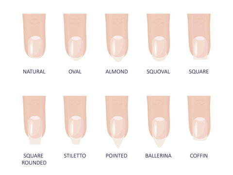 Manicure most popular fashion nail shapes flat style vector illustration set isolated light blue background. Natural, squoval, oval, square rounded, square, almond, stiletto different shapes guidance.