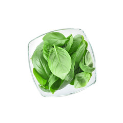 Glass bowl with fresh basil leaves on white background