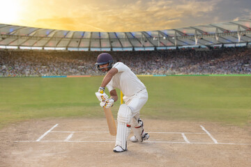 Cricketer batsman defending the ball - obrazy, fototapety, plakaty