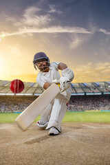 Cricketer batsman hitting a shot during a match on the pitch - obrazy, fototapety, plakaty