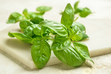 Board with fresh basil leaves on light background, closeup