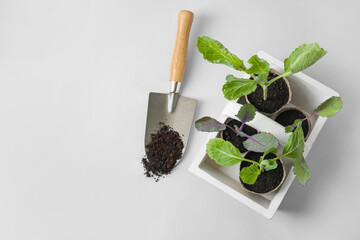 Basket with plants seedlings in peat pots and gardening shovel on light background