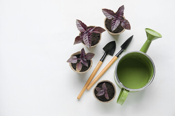 Plants seedlings in peat pots and gardening tools on light background