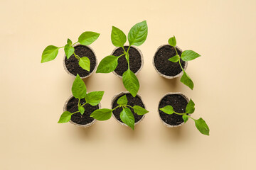 Plants seedlings in peat pots on color background
