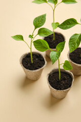 Plants seedlings in peat pots on color background