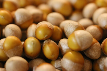 hazelnuts on wooden table