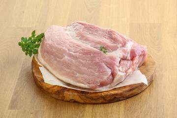 Piece of the raw pork meat