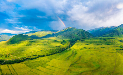Mountain and forest with grassland natural scenery in Hemu Village,Xinjiang,China. - obrazy, fototapety, plakaty