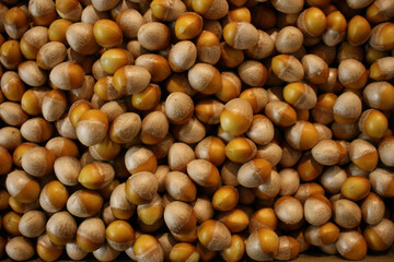 hazelnuts close up