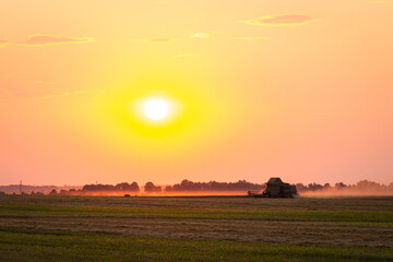 Evening shot of combine harvester gathering grain in agricultural wheat field with a setting sun in the background. Harvest in the wheat field