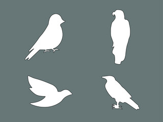 Different forms of birds