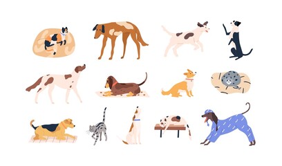 Set of cute pets. Adorable cats, dogs of different breeds. Collection of funny feline and canine animals. Colored flat vector illustration of kitties and doggies isolated on white background © Good Studio