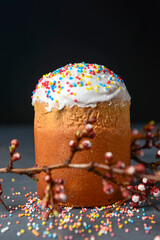 Easter composition with orthodox sweet bread, kulich and sprinkles on dark black background.