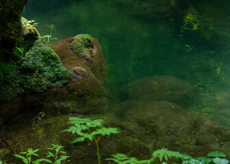 Romania, Caras-Severin county, Ochiul Beiului, Cheile Nerei