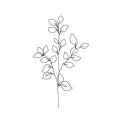 Botanical Line Art Drawing of Simple Leaves Branch. Minimal Abstract Floral Modern Art Illustration. Minimal Botanical Flower One Line Drawing. Vector EPS 10