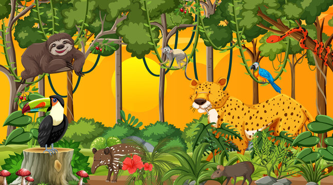 Nature forest at sunset time scene wtih wild animals