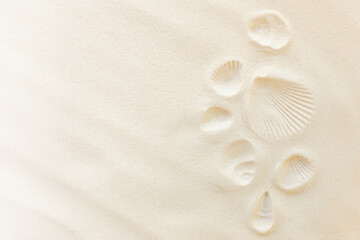 Fototapeta na wymiar Travel, vacation concept. Sea shells print on sand. Travelling to warm countries