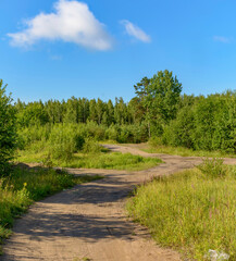 Summer landscape with a cloudy sky and blooming Ivan tea in the Leningrad region.