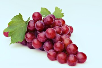 red grapes on a vine