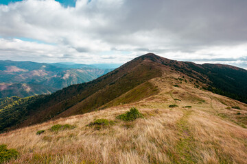 carpathian mountain landscape in early autumn. colorful scenery of mt. strymba, ukraine. svydovets ridge in the distance beneath a cloudy sky. popular travel destination