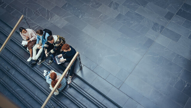 Young people studying in college campus