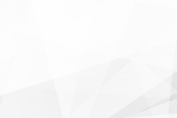 Abstract white and grey on light silver background modern design. Vector illustration EPS 10.