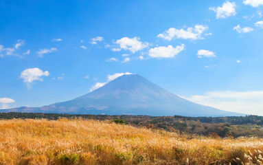 Beautiful Mount Fuji with Nature background and blue sky., japan.