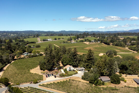 Aerial Shot of Wineries in the Pacific Northwest