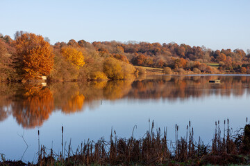 Russet colours of autumn at Weir Wood Reservoir near East Grinstead