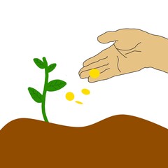 plant in hand
