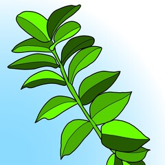 green leaves isolated on white background